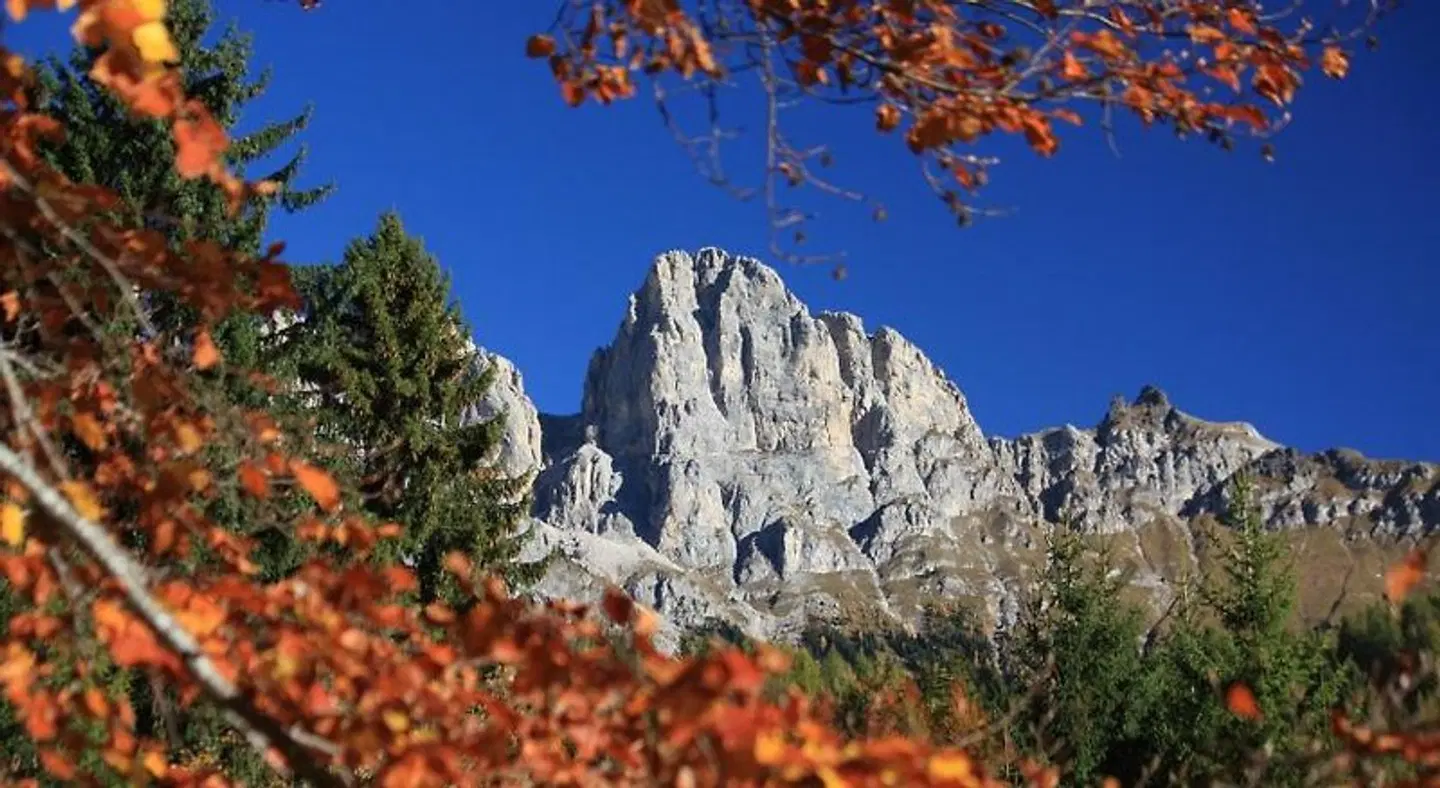 Orsa Maggiore LANDSCAPE