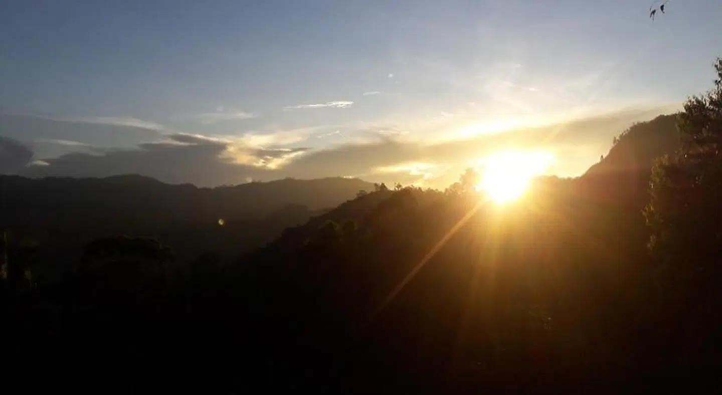 The Onex Paradise Ella LANDSCAPE