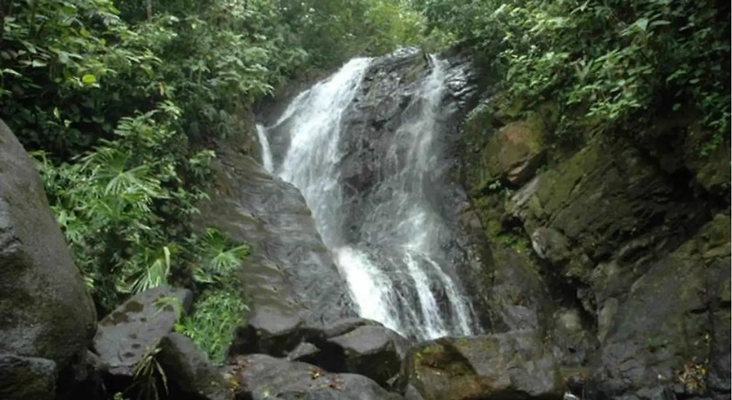 Casitas Del Rio LANDSCAPE