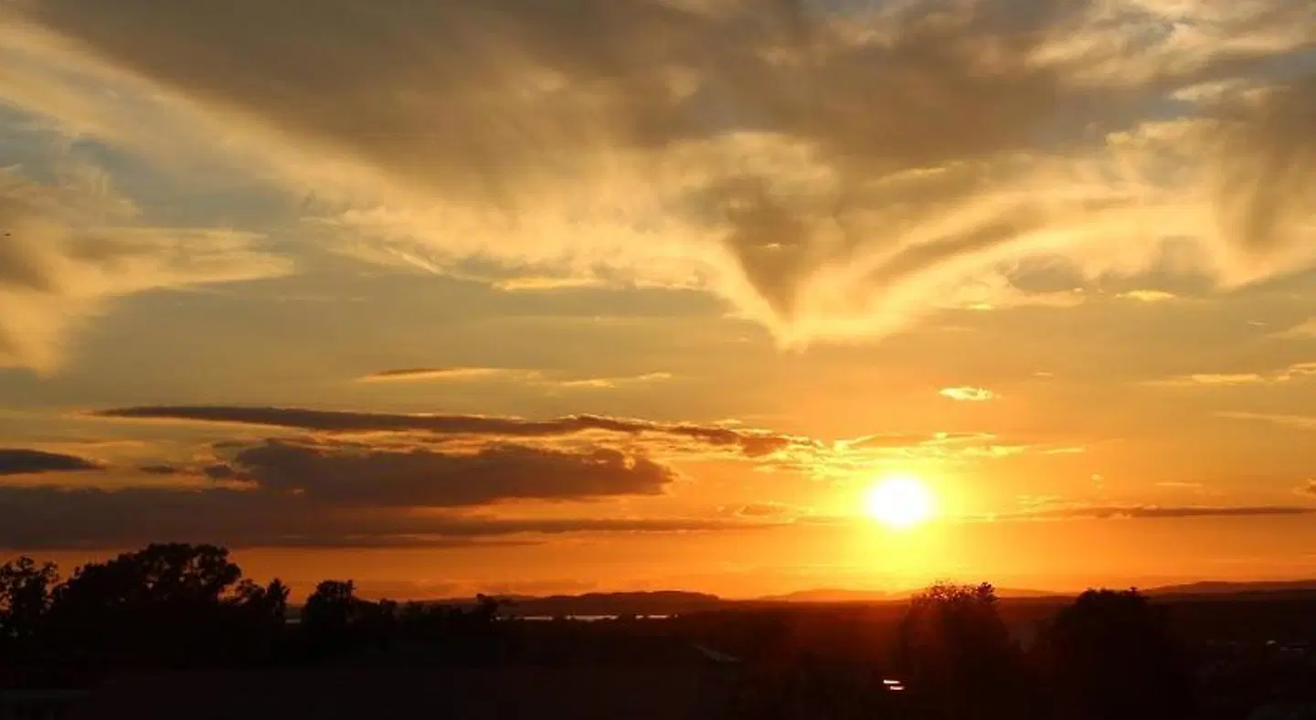 Zum Rebstock LANDSCAPE