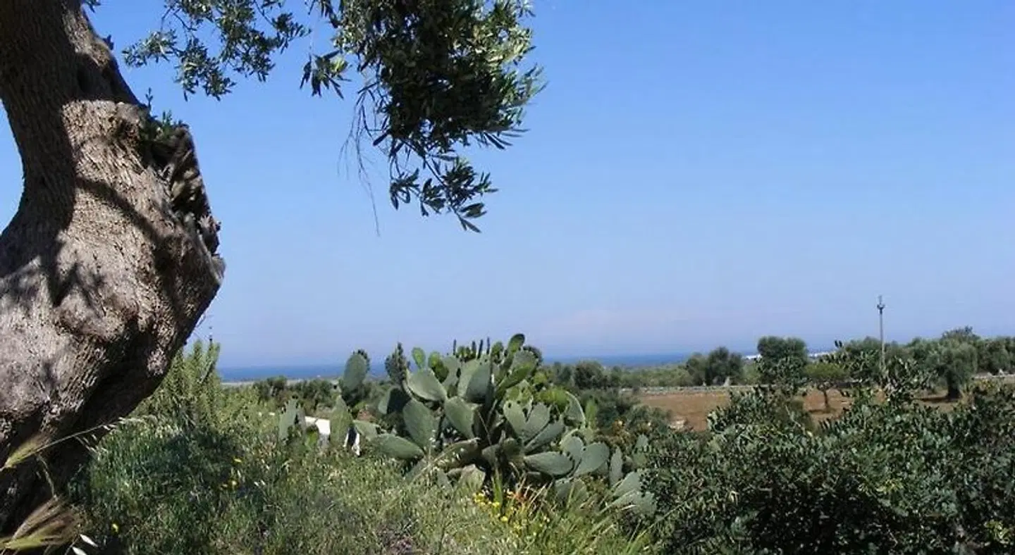 Masseria Pelosella B&B LANDSCAPE