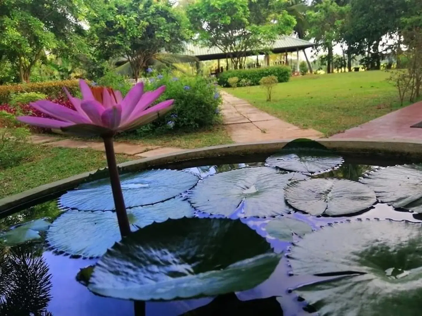 Rajarata Lodge Garten