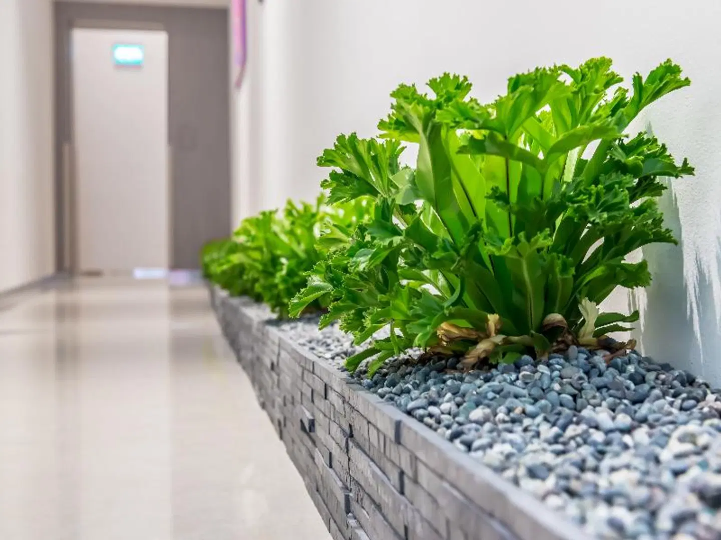 Summer View Hotel ROOM_EXAMPLE