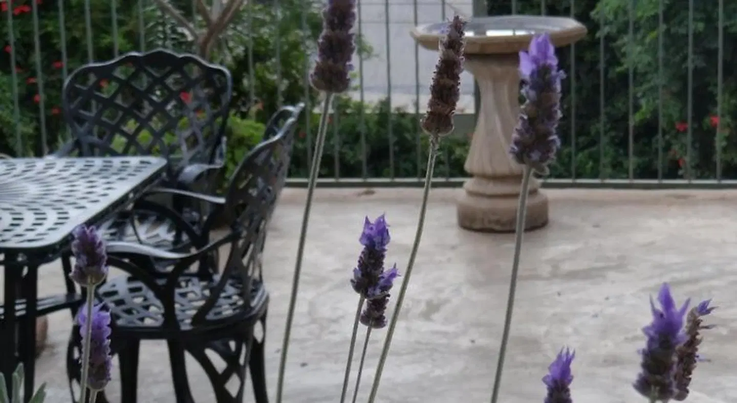 Die Agterplaas B&B SPORTS_AND_LEISURE