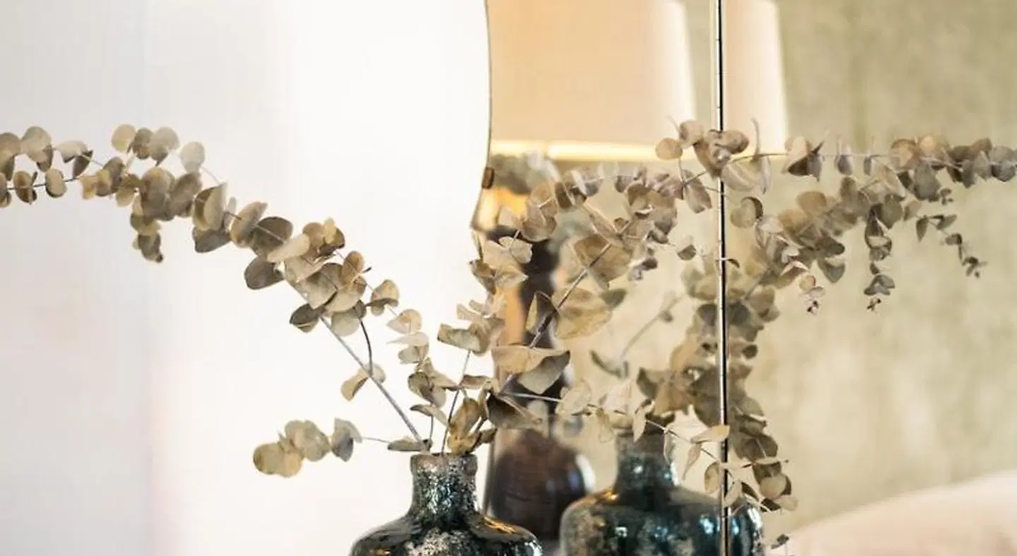 Emporikon Athens Hotel Tiere