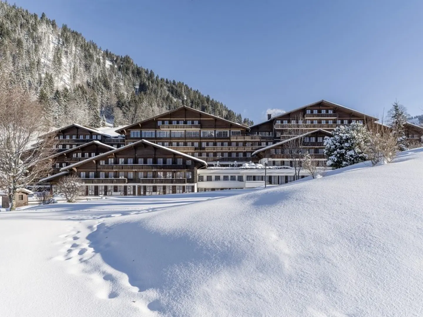 HUUS Hotel Gstaad OUTDOOR_POOL