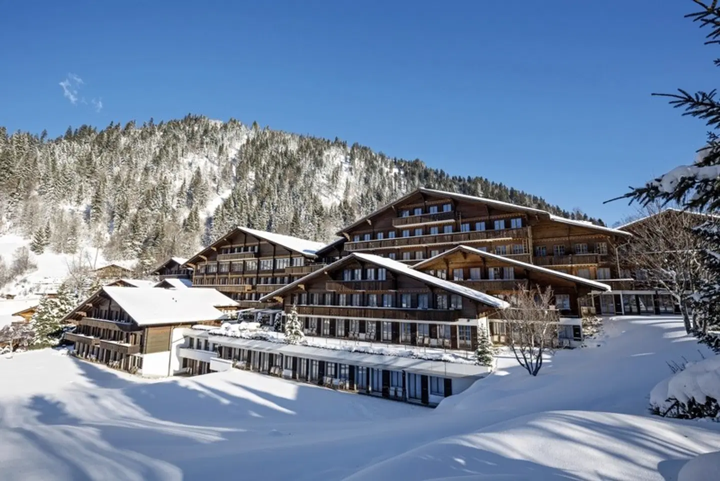 HUUS Hotel Gstaad EXTERIOR