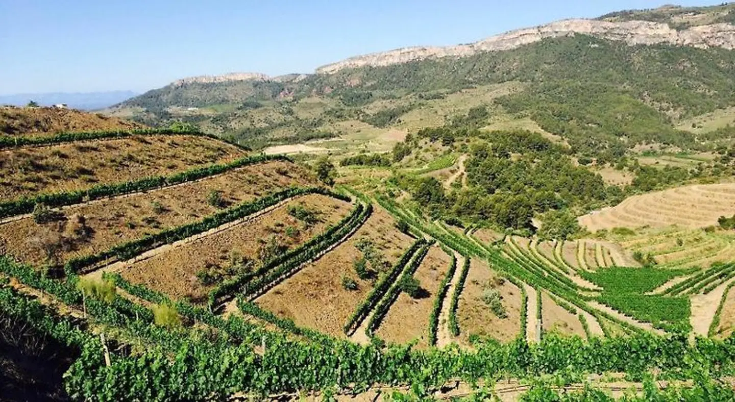 Hotel-Celler Buil & Gine LANDSCAPE