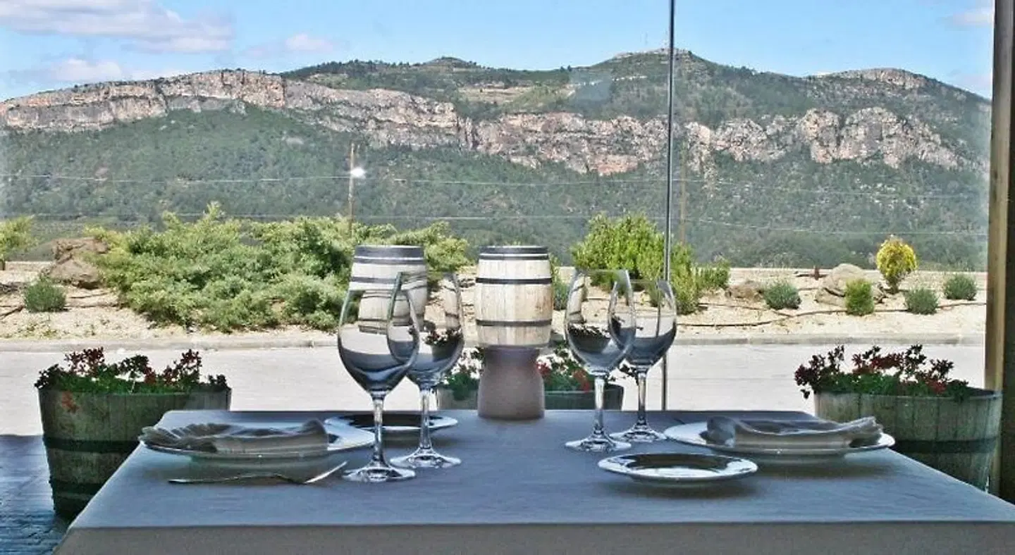 Hotel-Celler Buil & Gine Terrasse