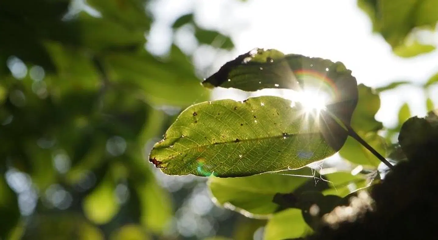 Douro Suites LANDSCAPE