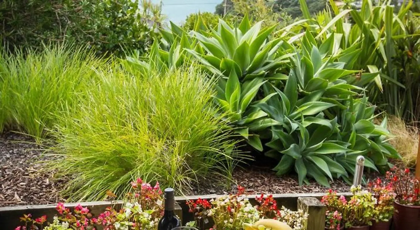 Tahi Lodge - Matakana Coast Garten