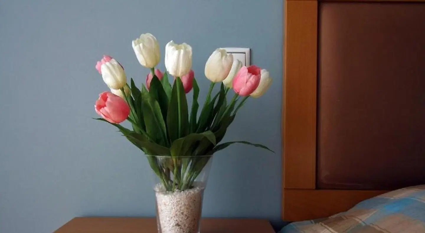 Cabo Verde LOUNGE_LOBBY