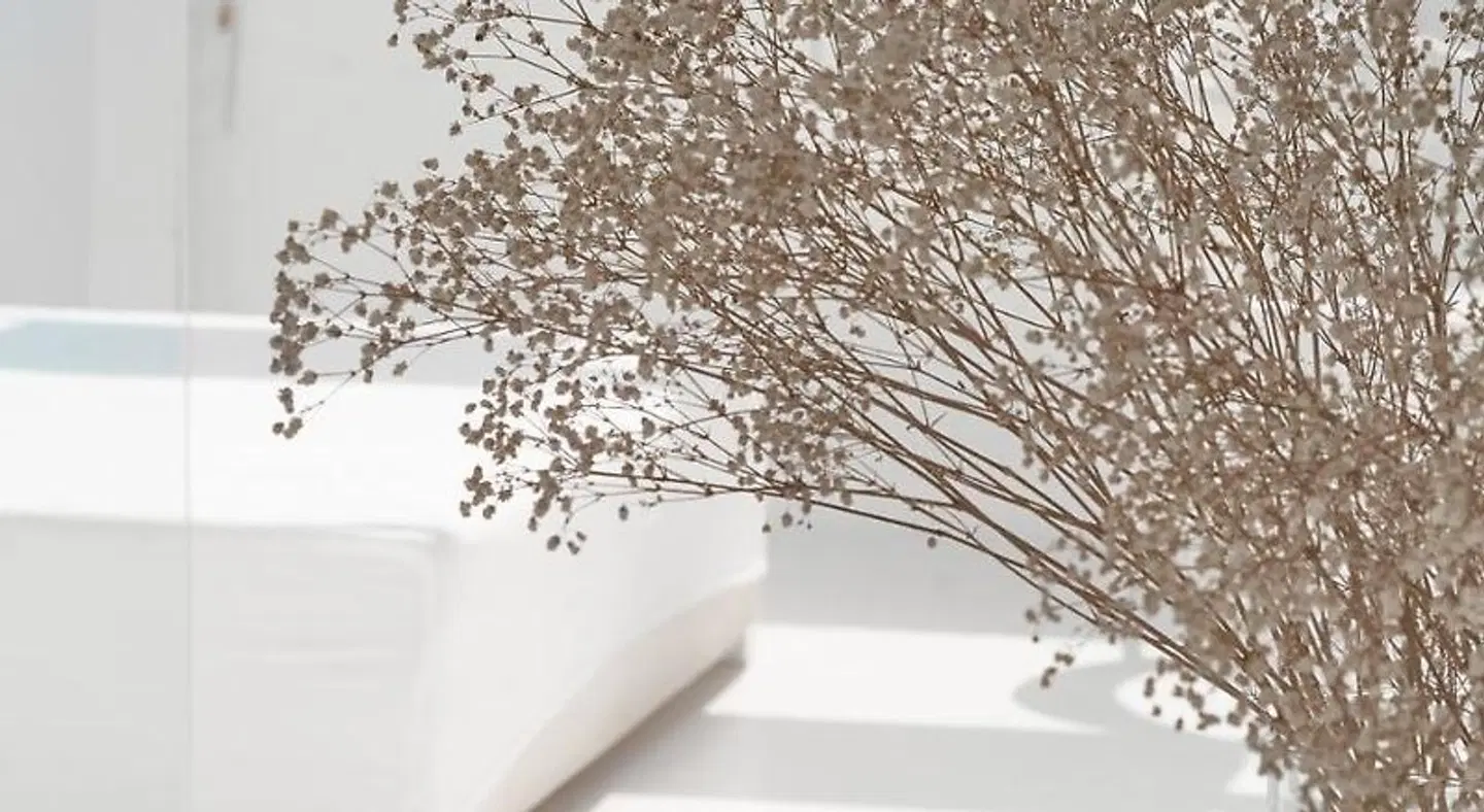 Avanti Hotel Boutique Fuerteventura - Only Adults LANDSCAPE