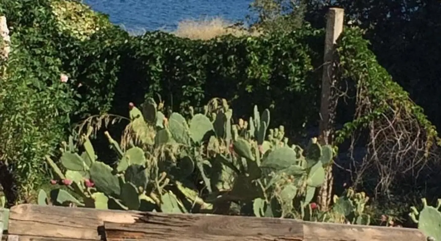 Archontiko Art Hotel LANDSCAPE