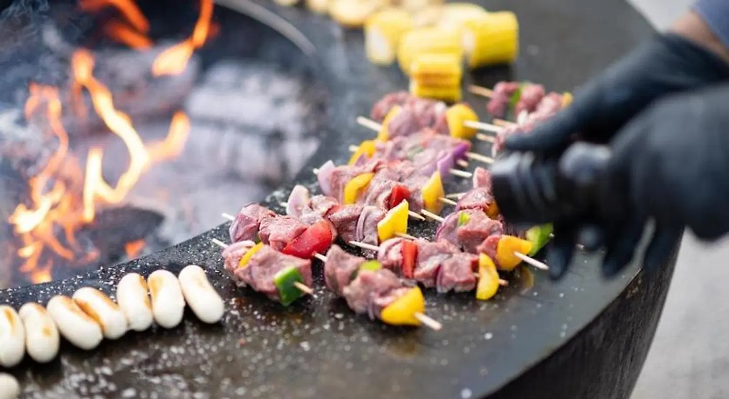 Chateau Salavaux Tiere