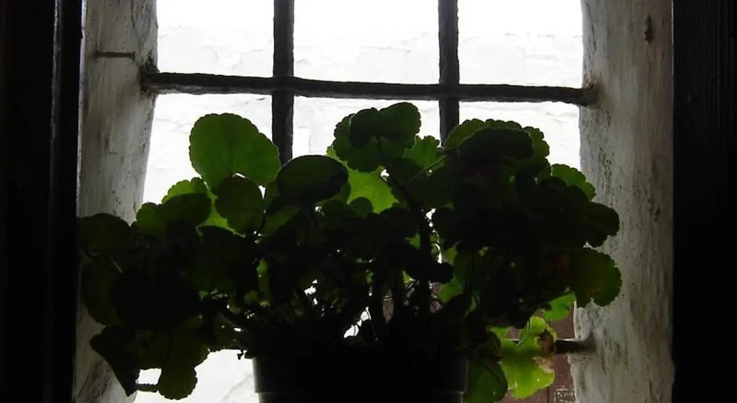 La Casa de Bovedas Charming Inn MODEL_IMPRESSION