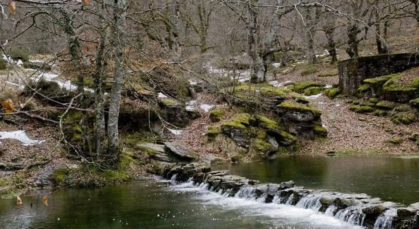 Caserio Iruaritz LANDSCAPE