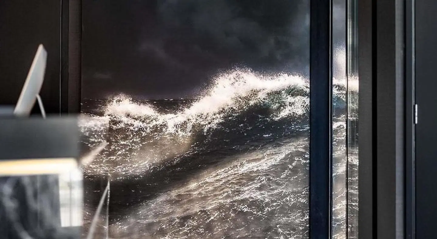 Le Marin Boutique Hotel Rotterdam Tiere