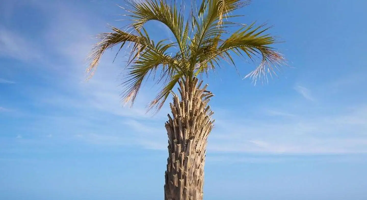 hotelF1 Perpignan Sud Strand