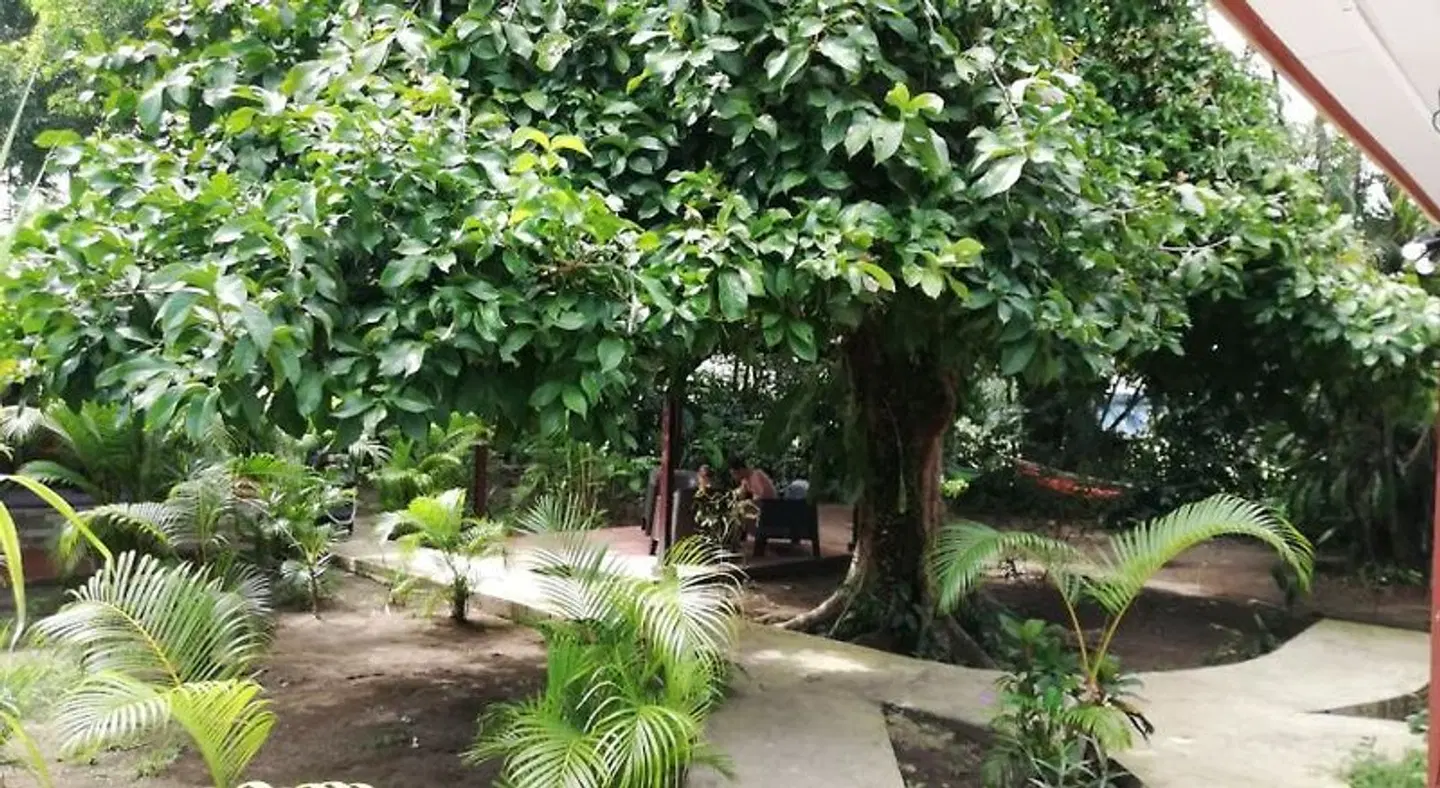 Aracari Garden Hostel Garten