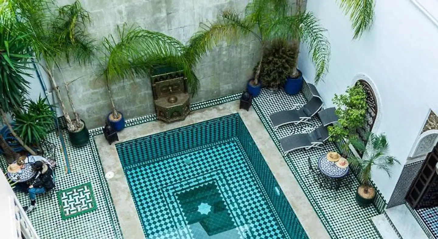 Riad El Yacout MODEL_IMPRESSION