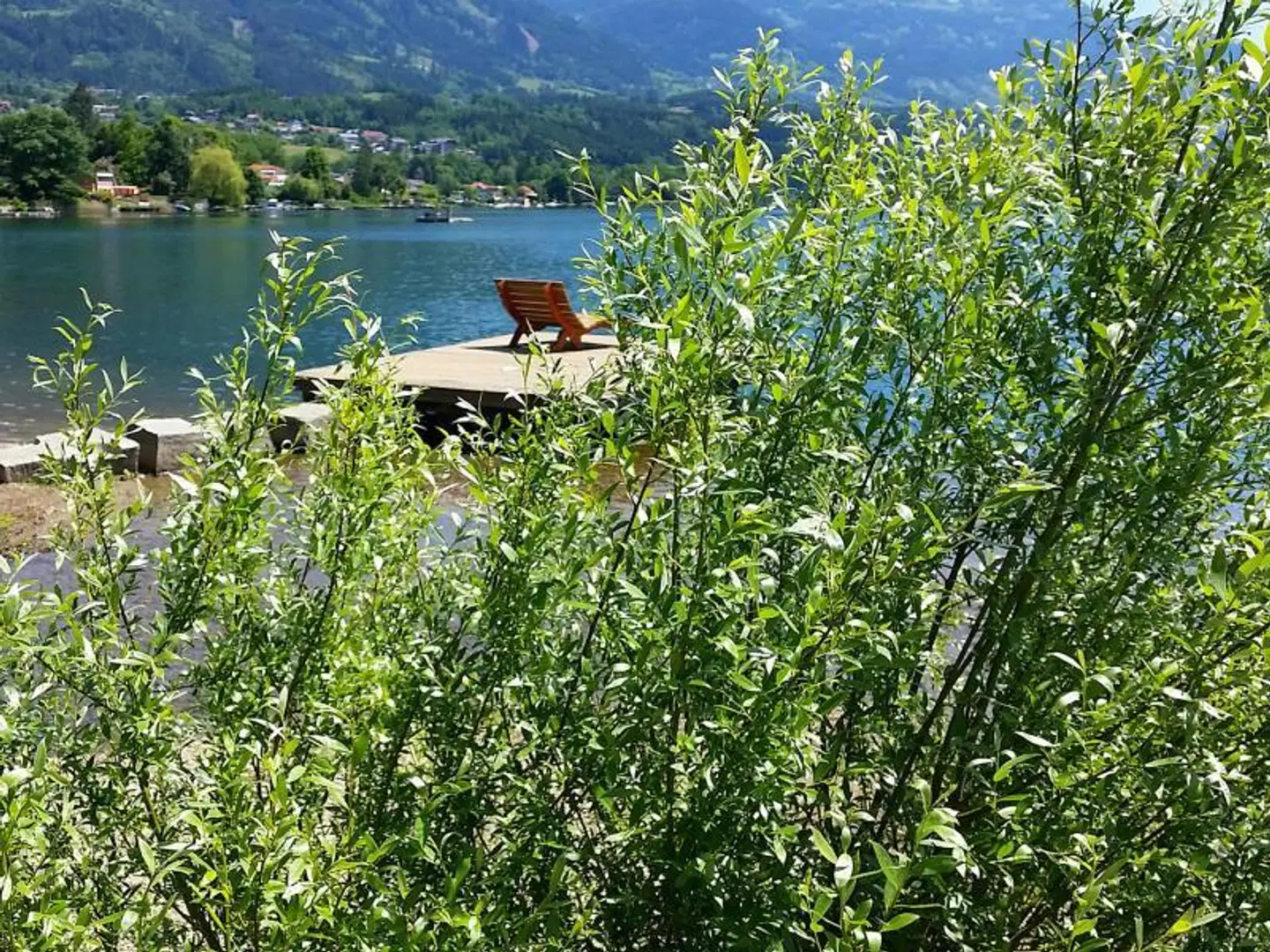 Hotel Bellevue Garten
