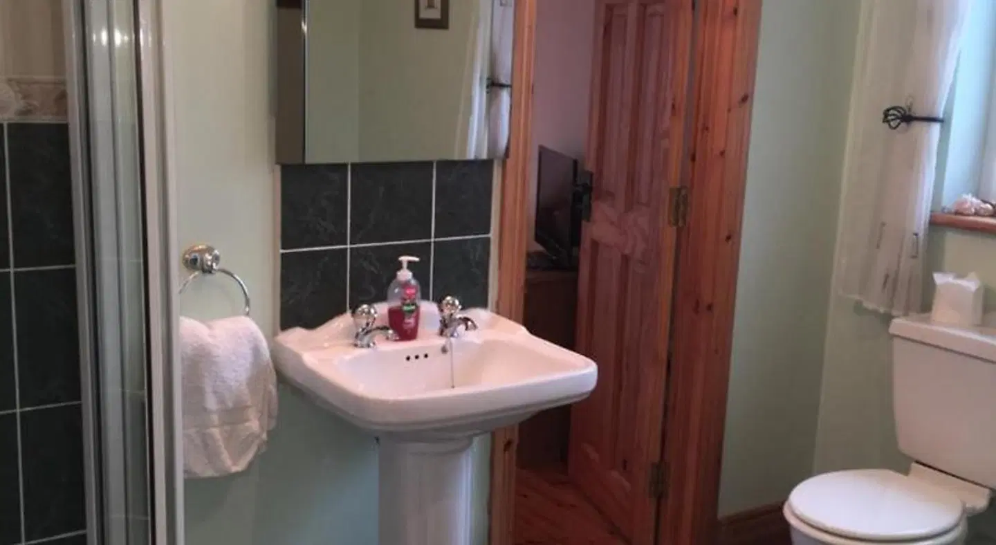 Carrick House B&B Badezimmer