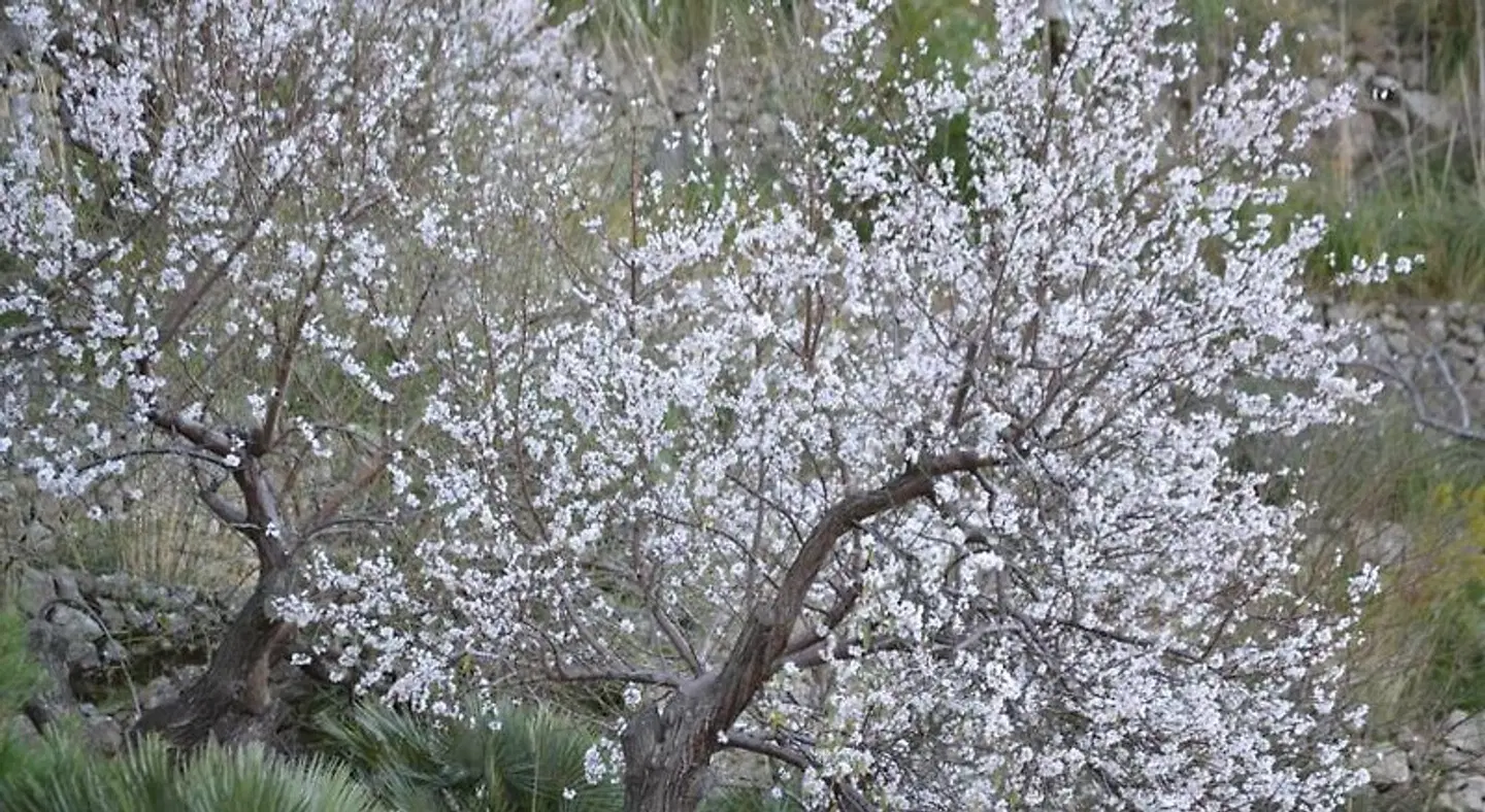 Rural Nord LANDSCAPE