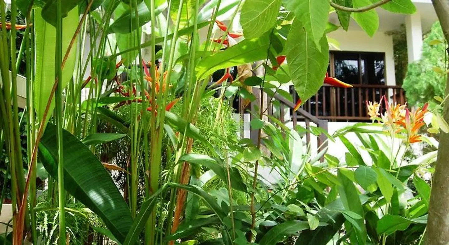 Baan Sawan Samui Resort Garten