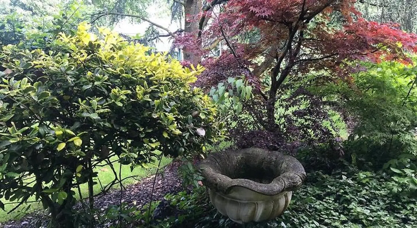 Villa Brama Tiere