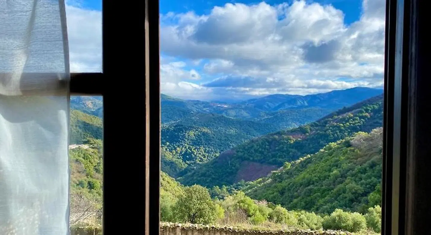 Finca Almejí LANDSCAPE