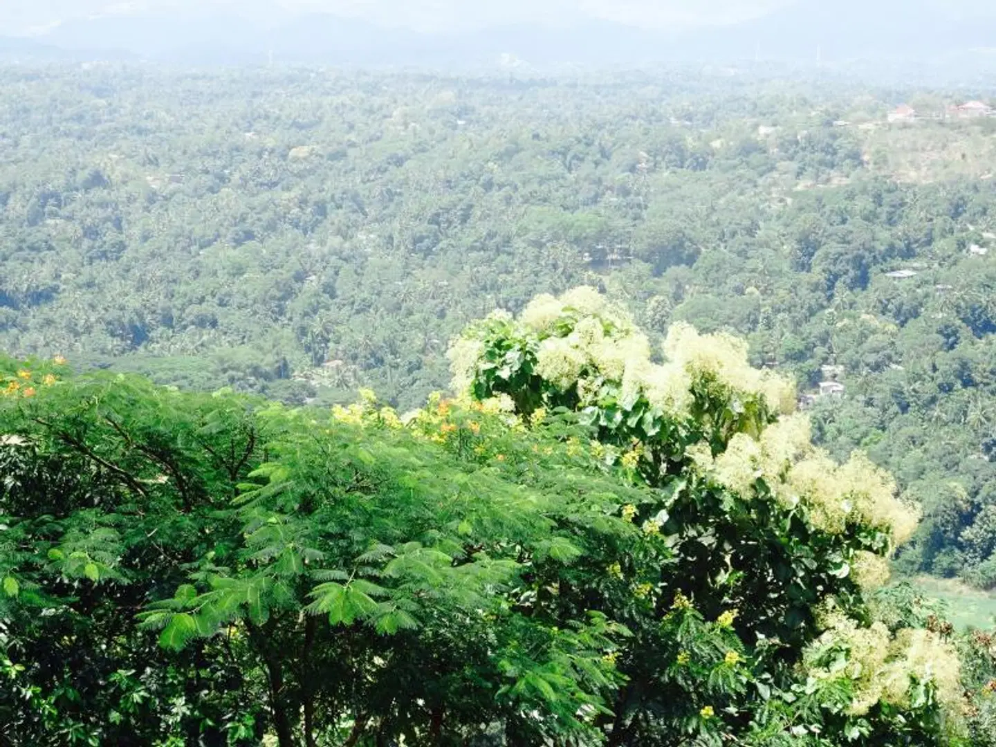 Range Kandy LANDSCAPE