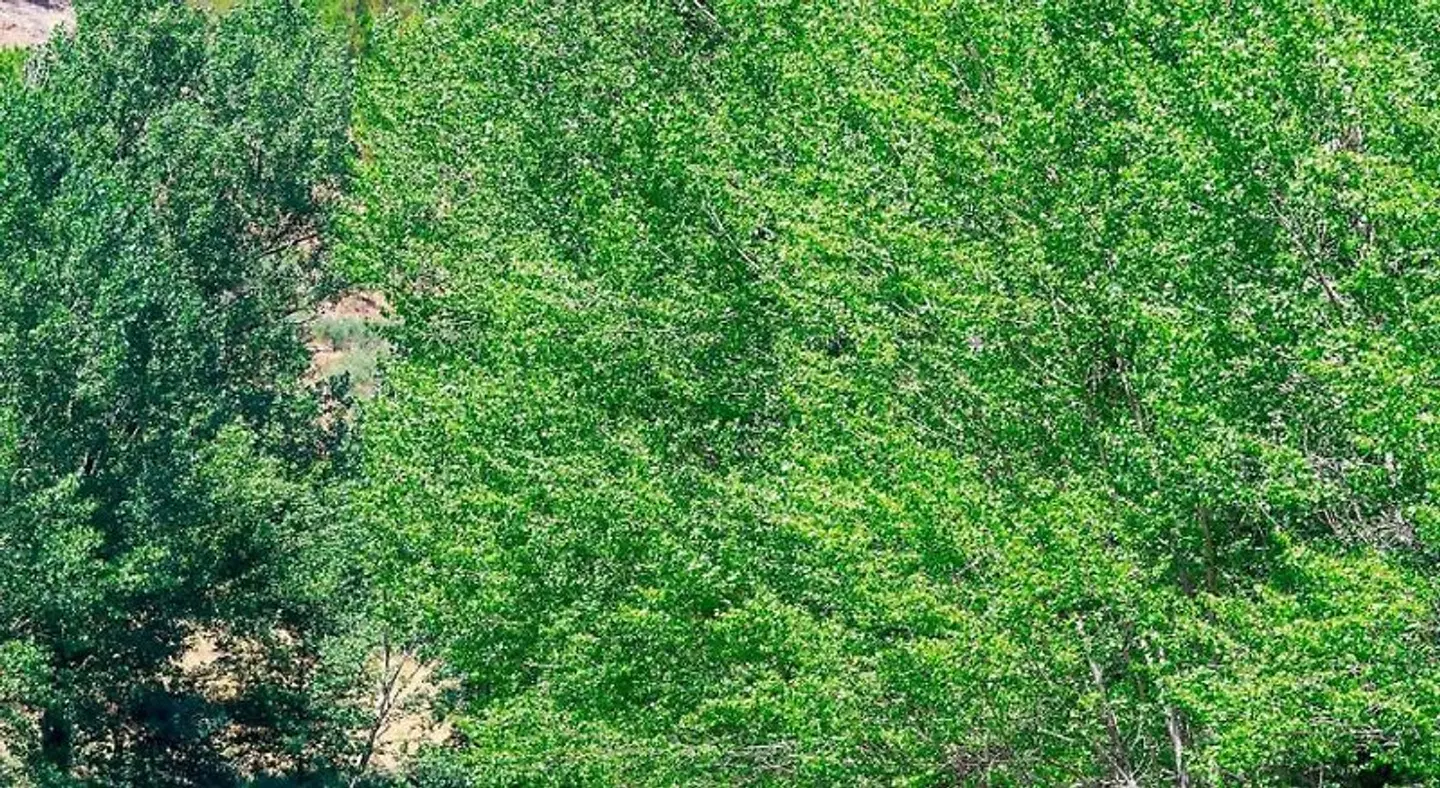 Hotel Rural Castúo LANDSCAPE