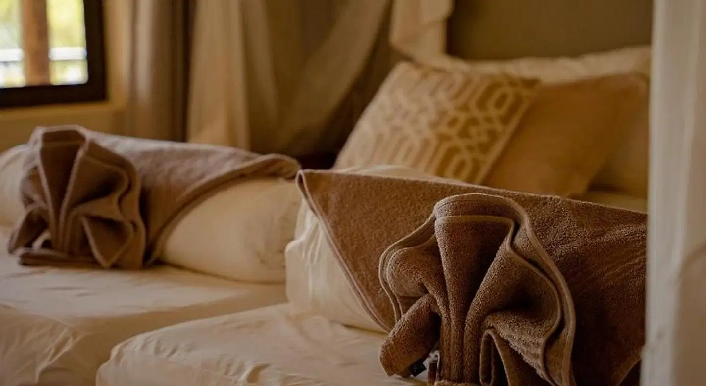 Shametu River Lodge ROOM_EXAMPLE