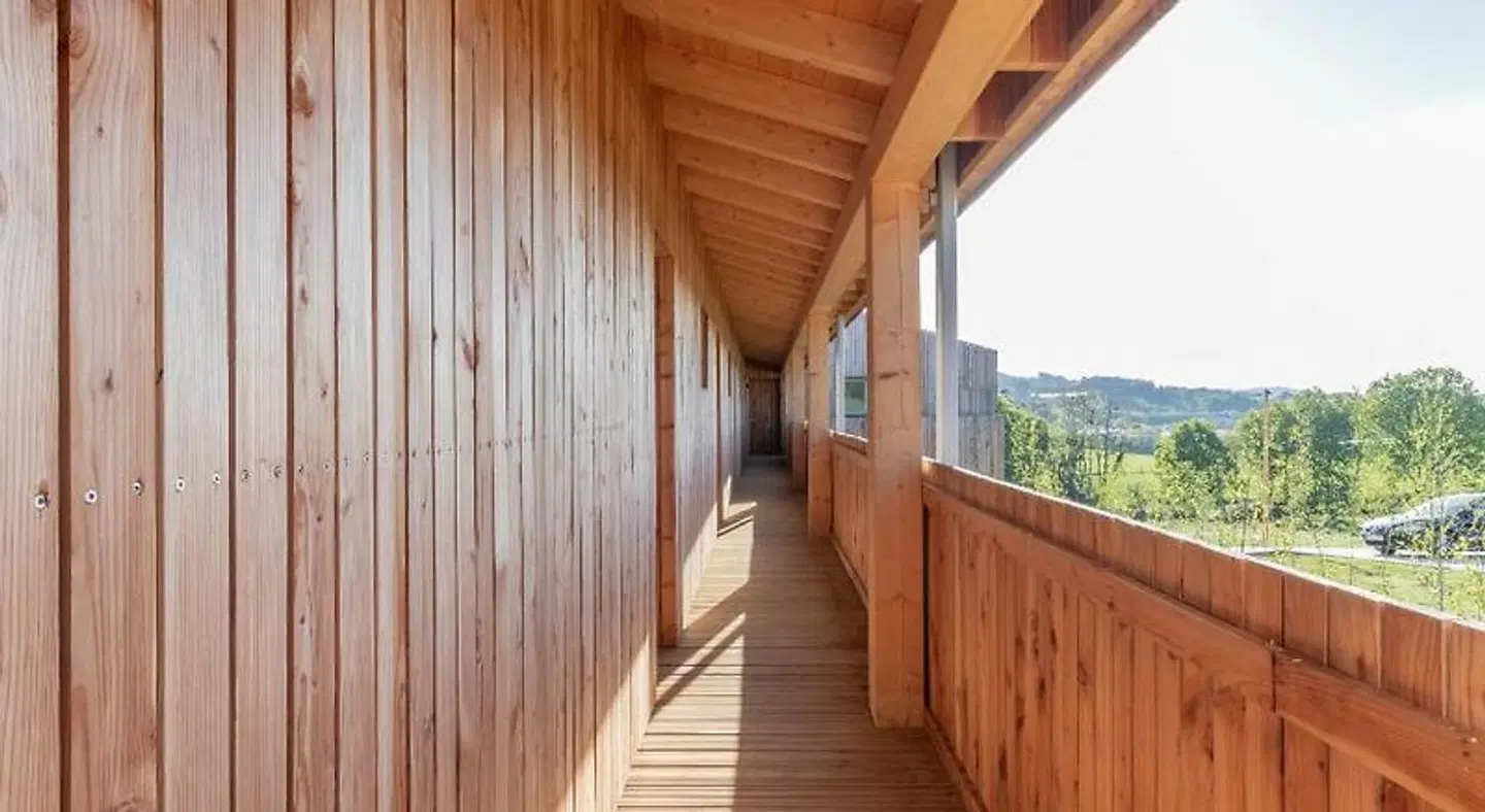 Basoan HEALTH_BEAUTY