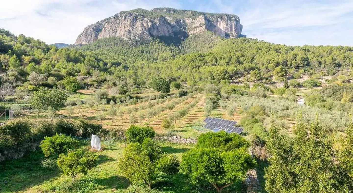 Agroturismo Filicumis LANDSCAPE