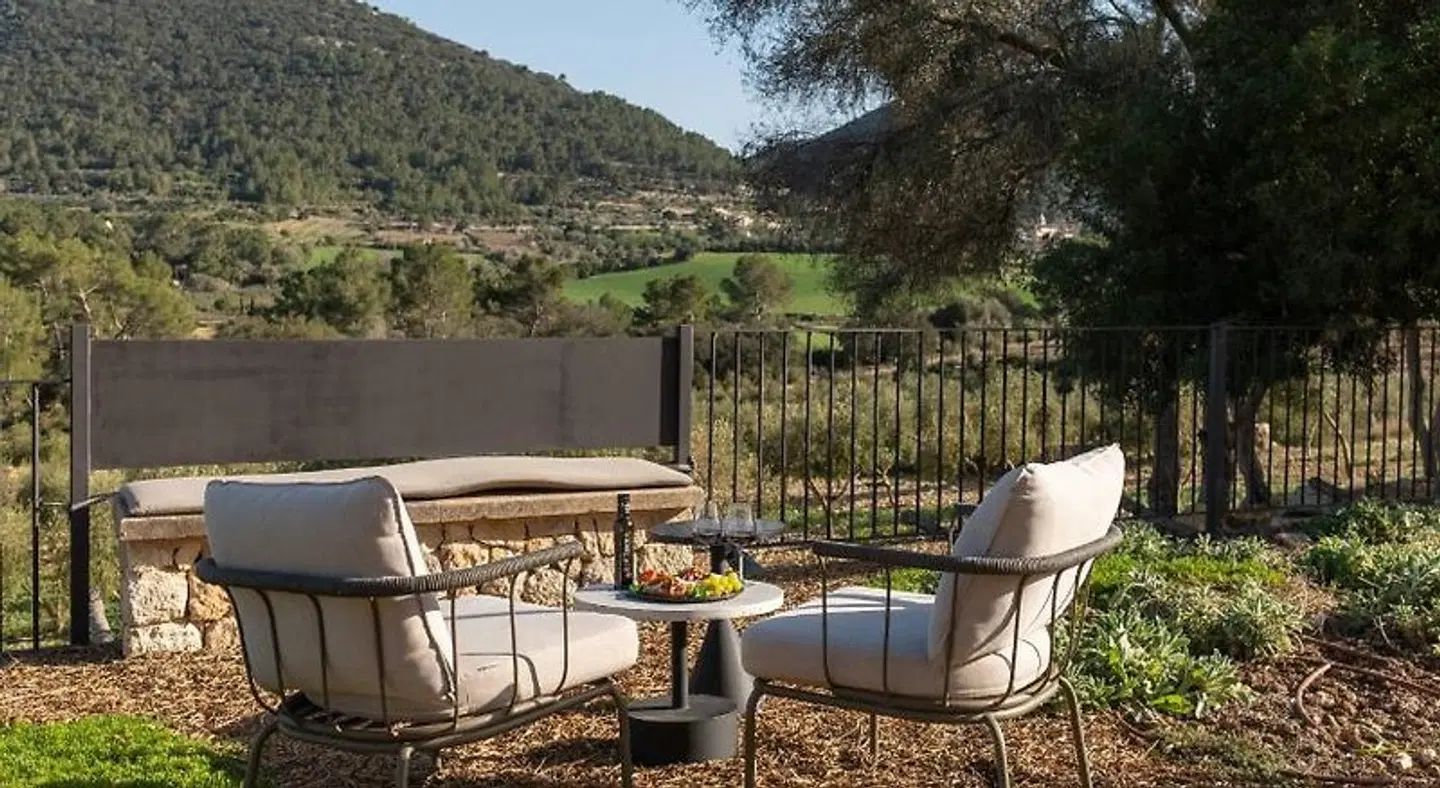 Finca Treurer - Olive Grove & Grand House - Adults Only Terrasse