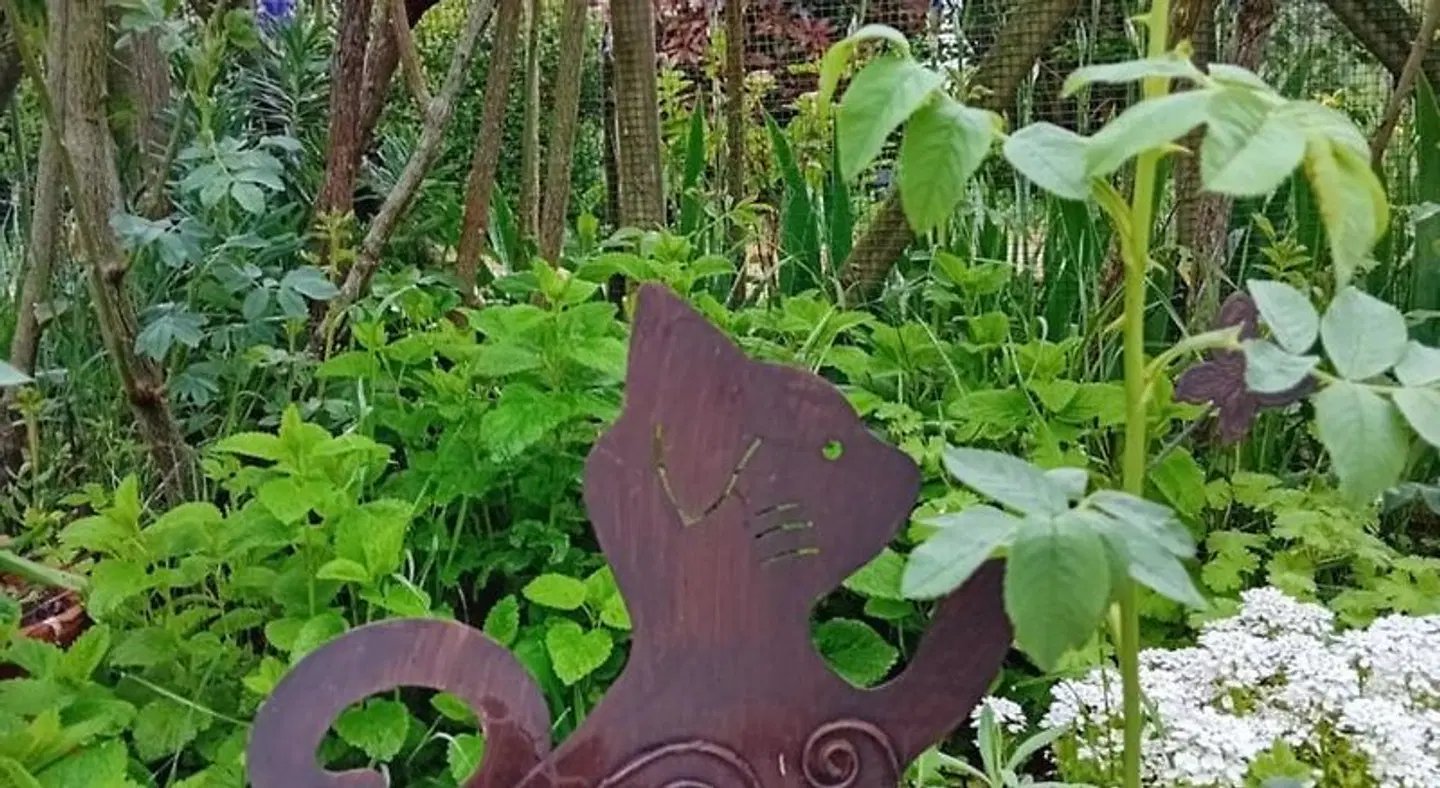 Ode au Bonheur St Georges sur Cher Garten