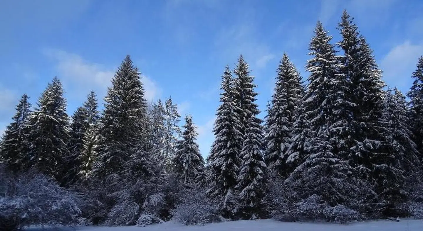 Le Bon Accueil LANDSCAPE