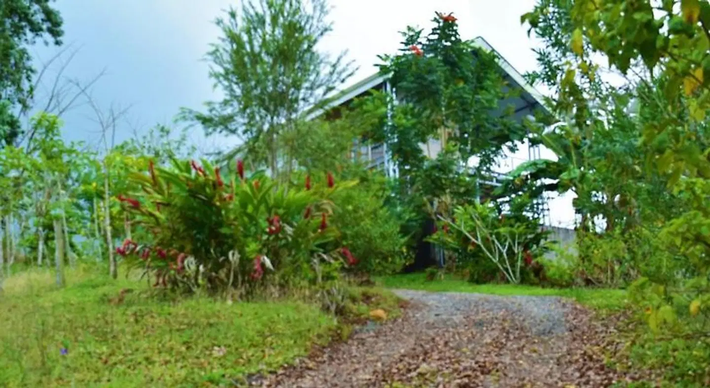 Hotel Rio Celeste Finca L' Etoile Celeste Garten