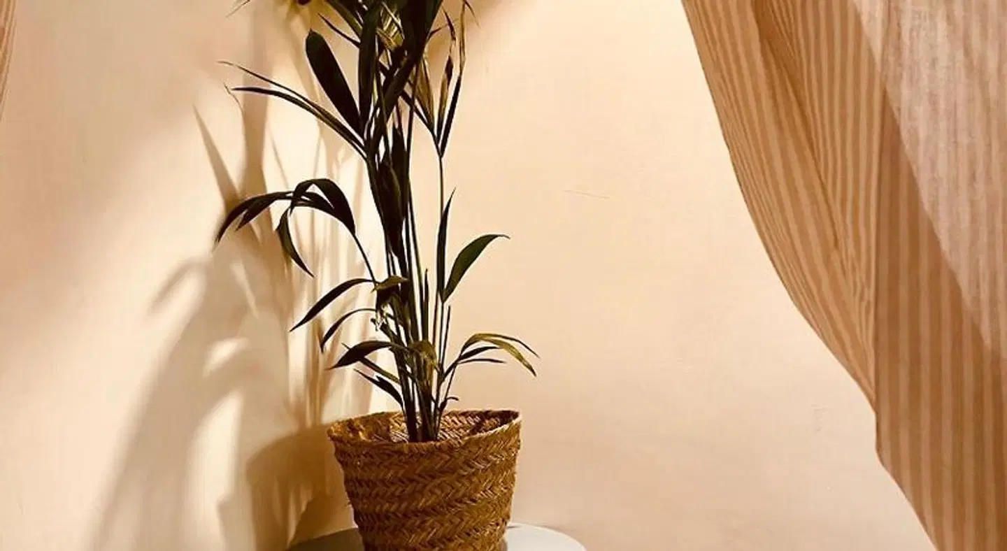 Casal d'Artà ROOM_EXAMPLE