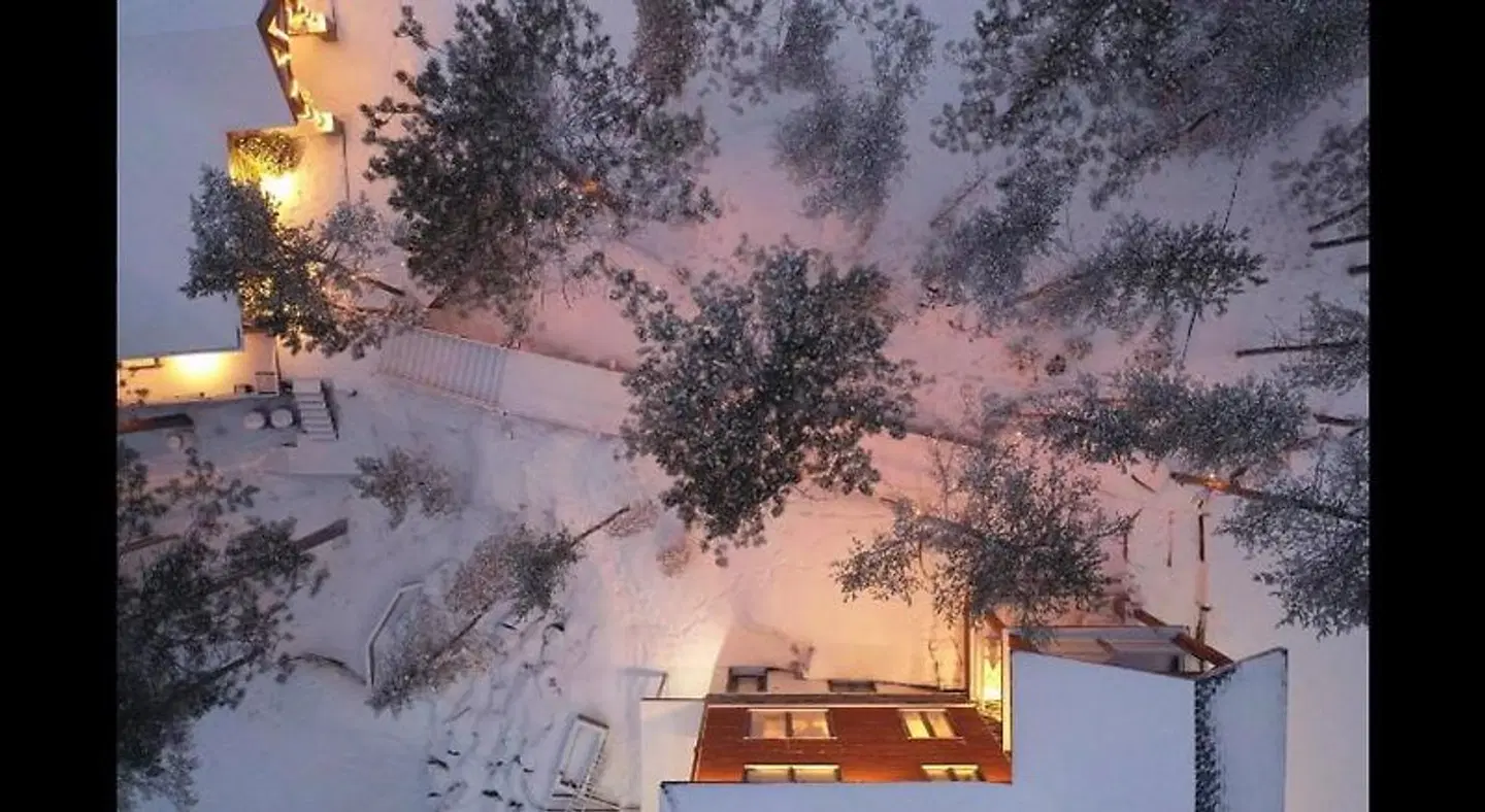 Gîte Du Haut Des Arbres EXTERIOR