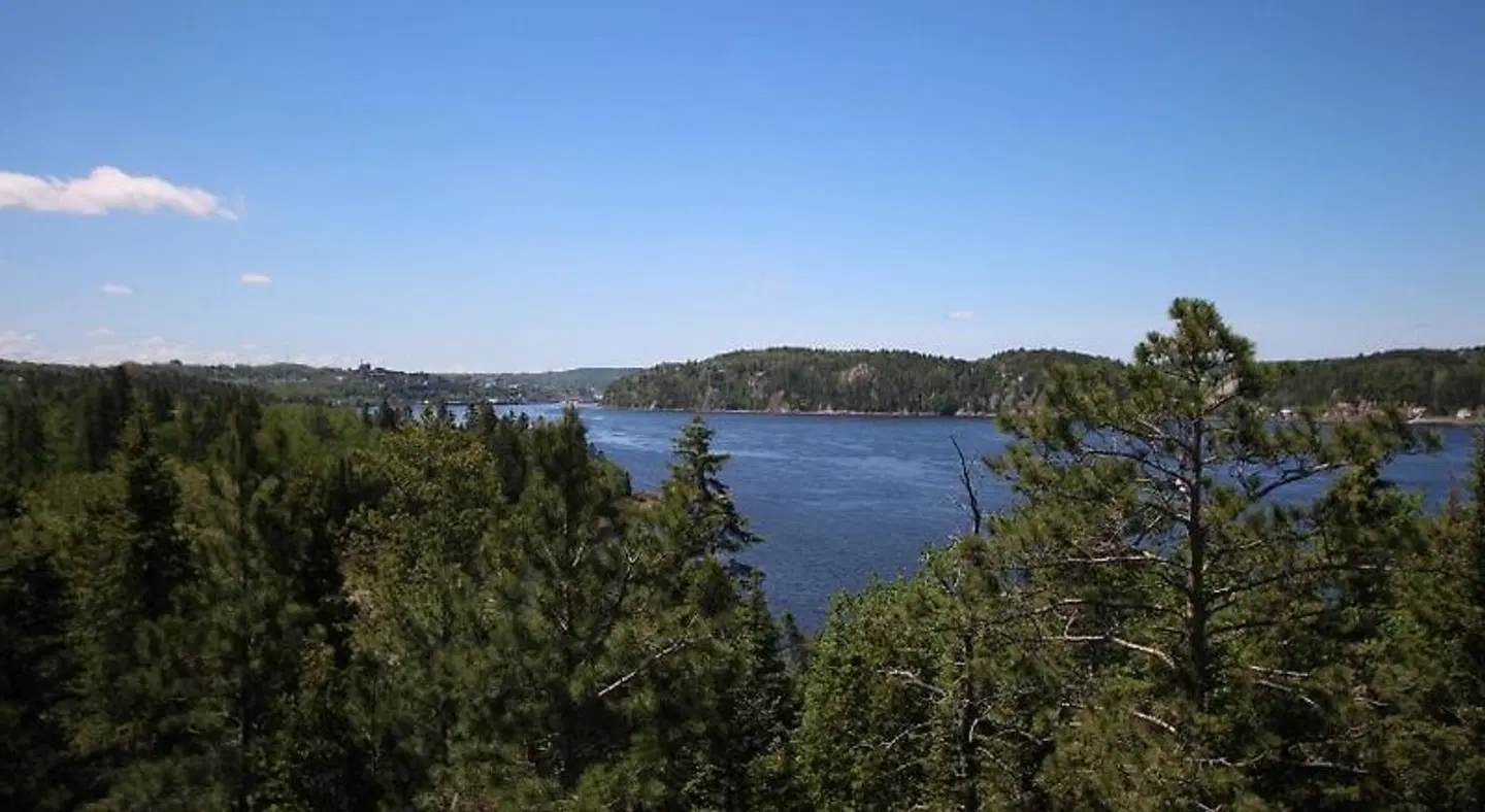 Gîte Du Haut Des Arbres LANDSCAPE