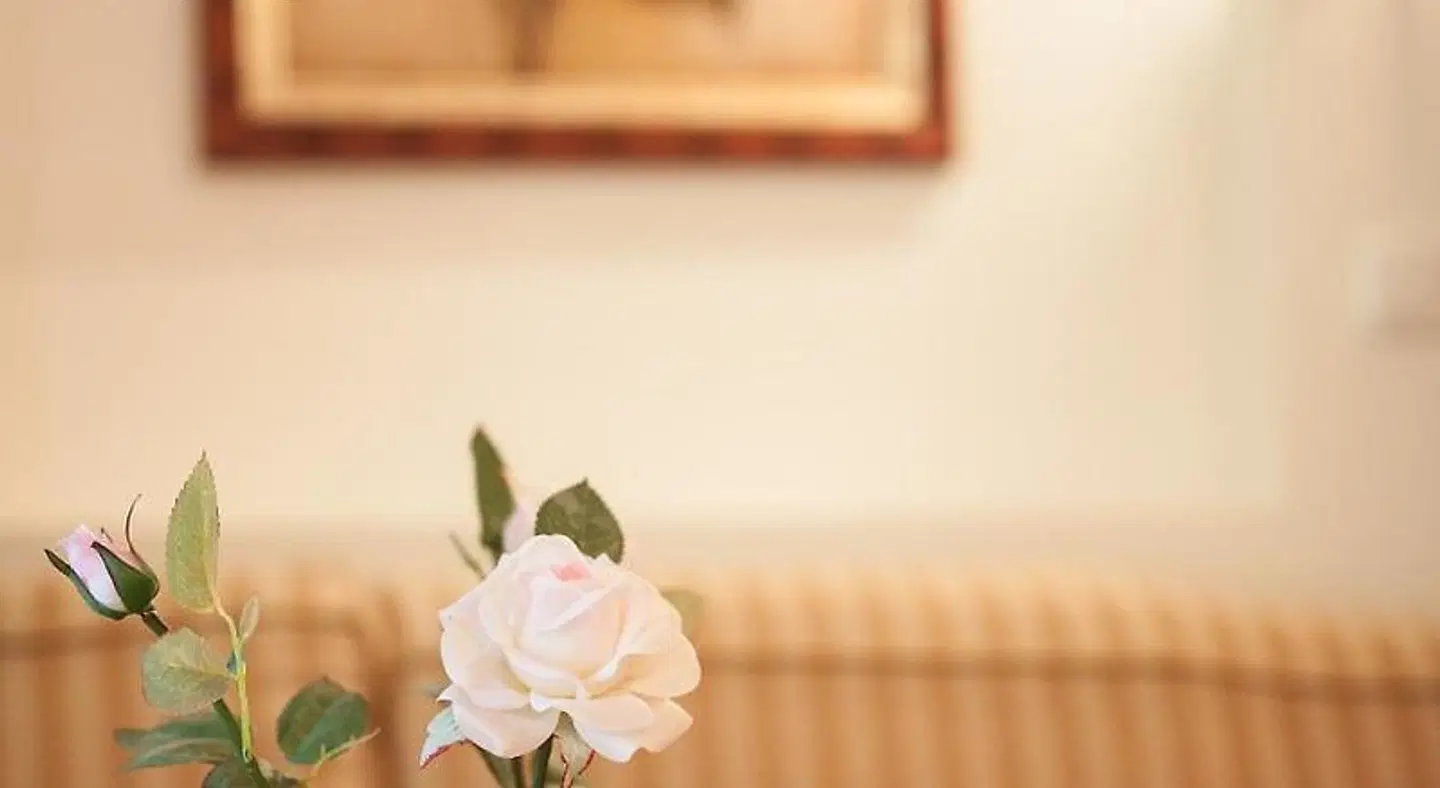 Dornauhof HEALTH_BEAUTY