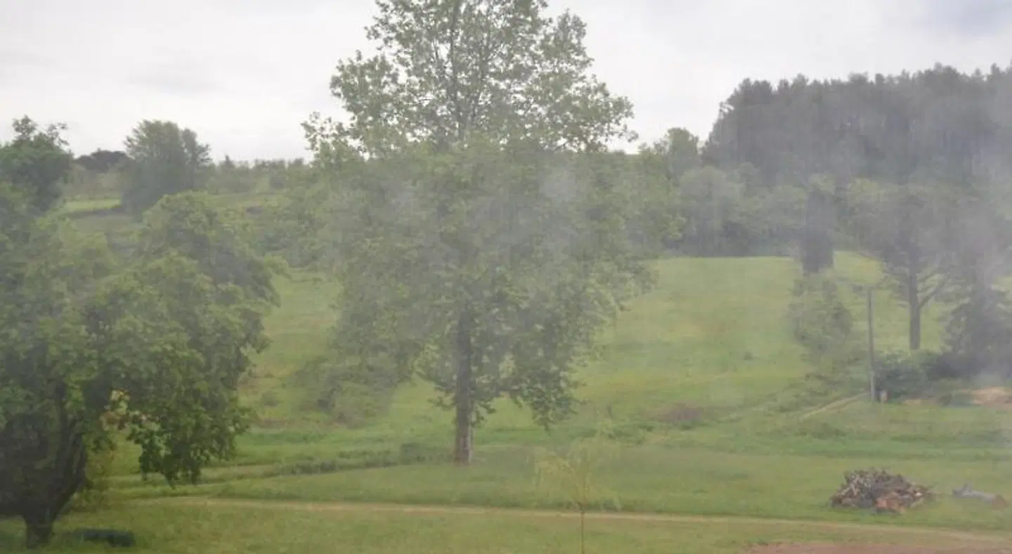B&B Pane e Rose LANDSCAPE
