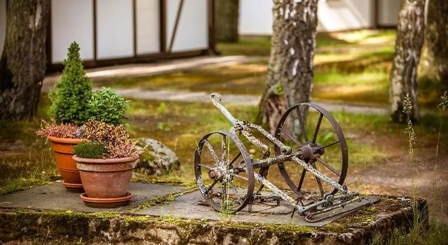 Seehotel Schorfheide Tiere