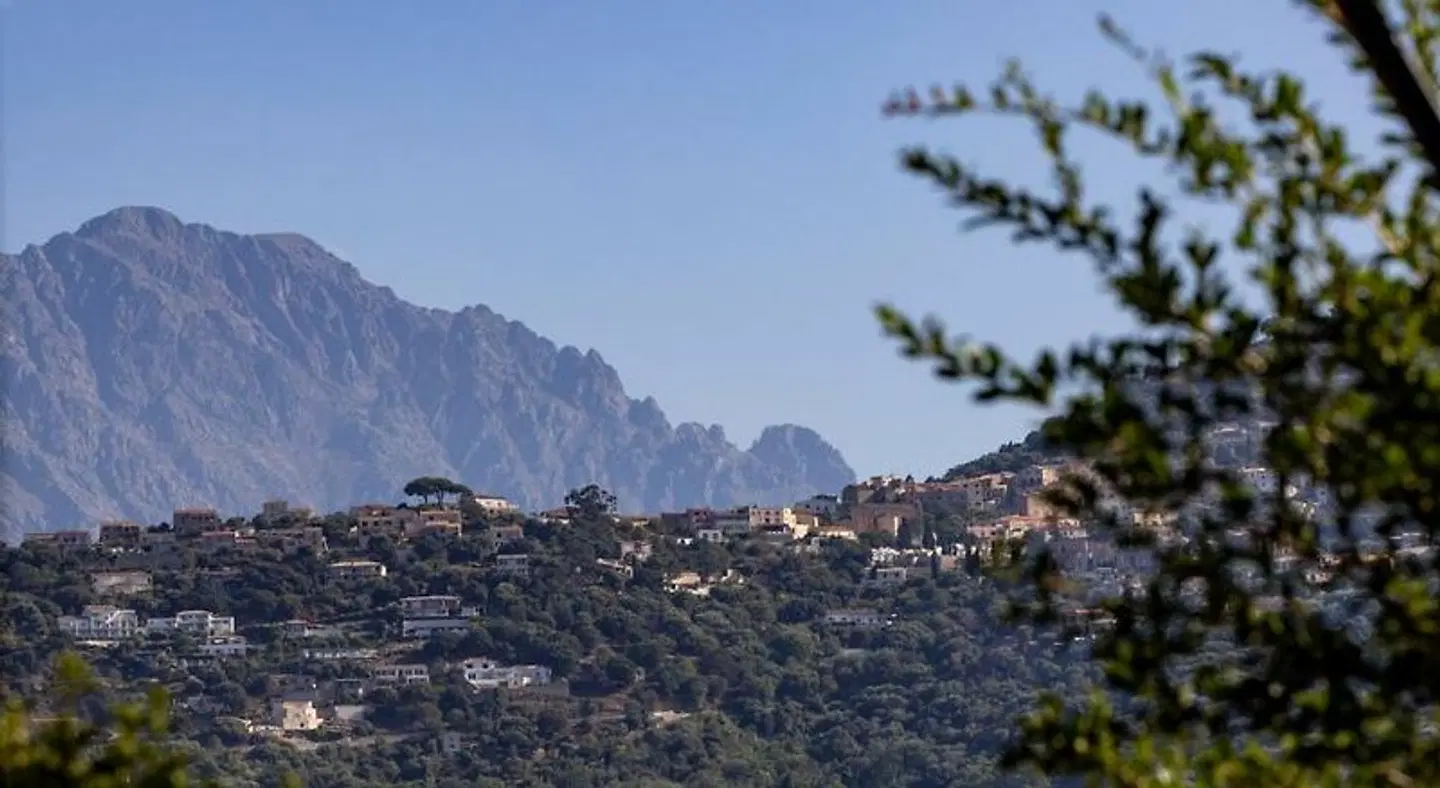 Hôtel Villa Joséphine LANDSCAPE