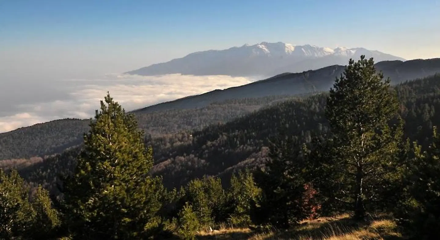 Vaela Pallas Cultural Resort & Spa LANDSCAPE