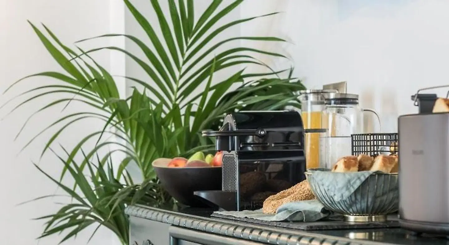 The Anthemion House HEALTH_BEAUTY