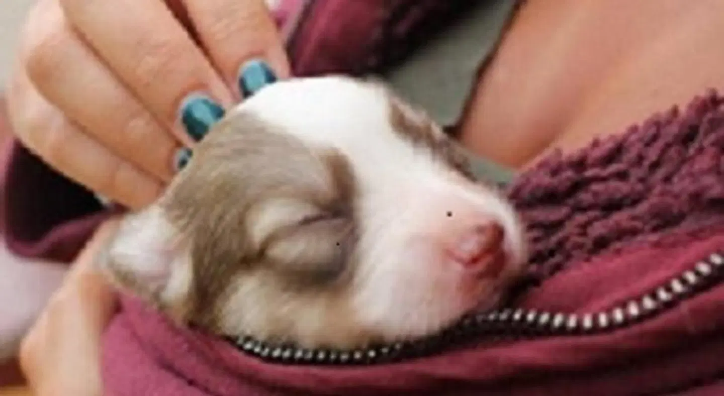 Estate Kares HEALTH_BEAUTY